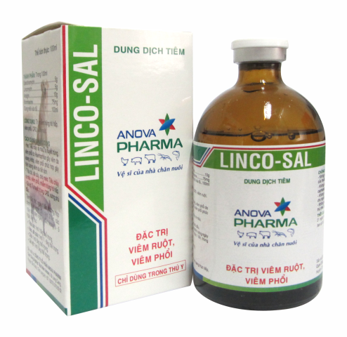 LINCO-SAL